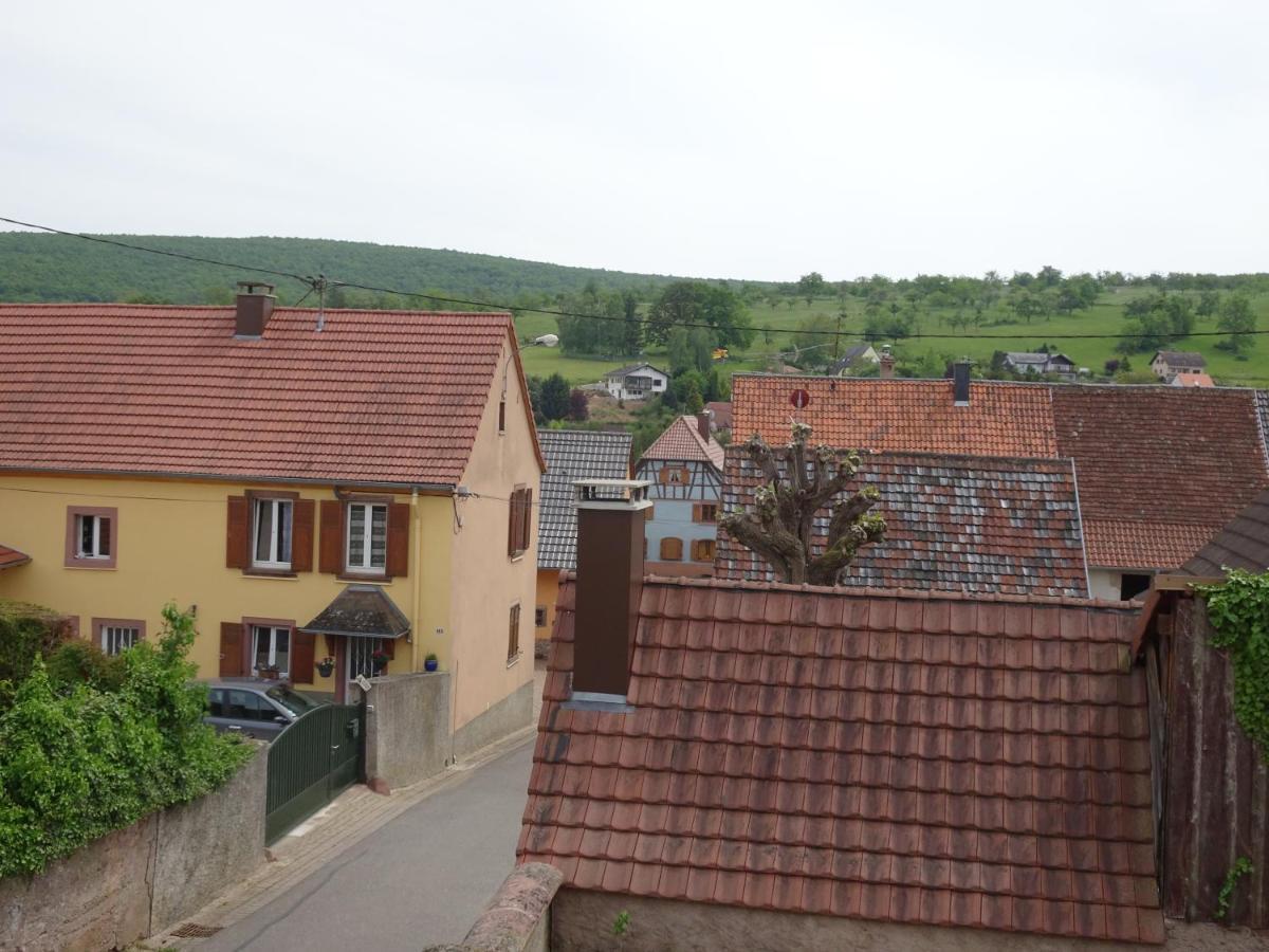 Le Noyer Vila Cosswiller Exterior foto
